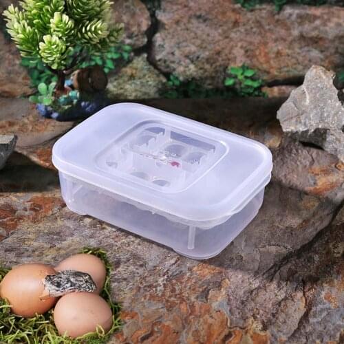 12 Grids Reptiles Eggs Breeding Hatcher Case Safety Lizard Snake Egg Incubator Tray Box Household Pet Hatching Accessories