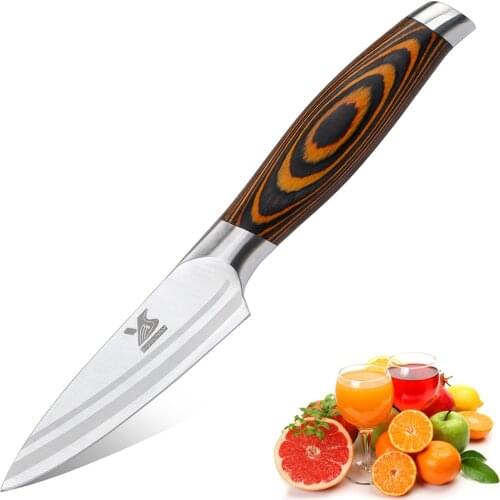BIGSUNNY 3.5 Inch Paring Knife Fruit Knife Kitchen Vegetable Knives - Made out of German Stainless Steel with Ergonomic Handle