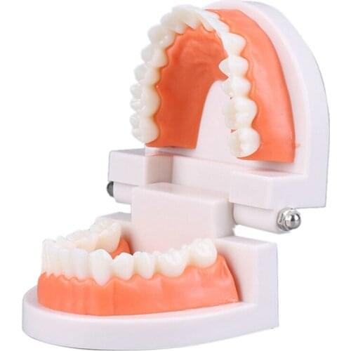 Educational Toys for Children Early Learning Kids Intelligence Brushing Tooth Teaching Aids Simulated