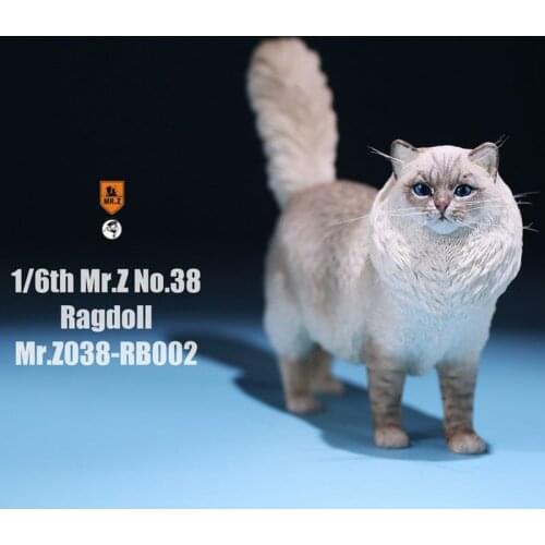 Mr.Z 038 1/6 Ragdoll Pet Cat Simulator Animal Model Cute Super Cute Ornaments for 12" Action Figure Scene Decoration Accessories