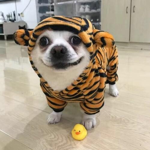 Dog Cat Chihuahua Clothes Winter Autumn Warm Coat Halloween Costume for Small Medium Dogs Clothing Ropa Para Perro