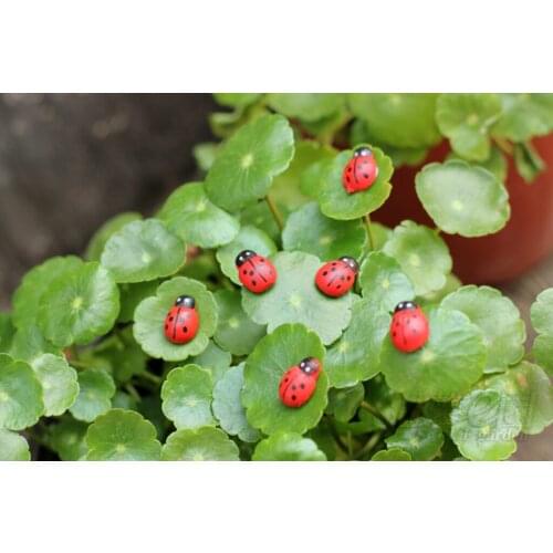 200pcs Miniature Dollhouse Ladybug Fairy Garden Terrarium Decor Bonsai Red