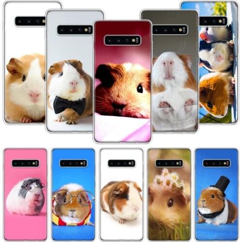 Guinea Pig Cute Animal Pet Blue Case for Samsung Galaxy A51 A71 A50S A10 A20E A30 A40 A70S A90 M30S A01 A21 A6 A7 A8 A9 Plus + P