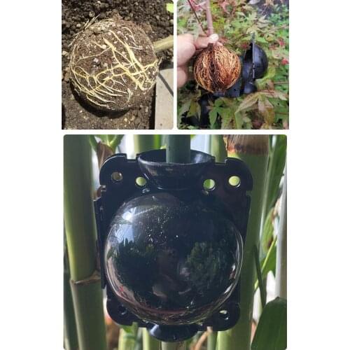 Plant Rooting Apparatus 3 Sizes 3 Colors Plastic Reusable Grafting Products Essential For Asexual Propagation of Plants