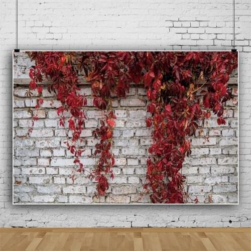 Laeacco Red Flower Old Deserted Brick Wall Photographic Backdrops Pattern Poster Party Baby Child Portrait Photocall Backgrounds