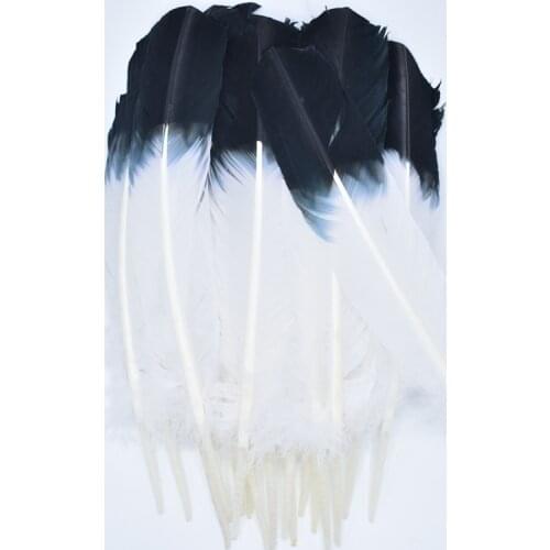 50Pcs/Lot Turkey Feathers Wing Quill Feather Black Eagle Feathers for Crafts Feather Decor Plume Decoration Plumas Carnaval DIY