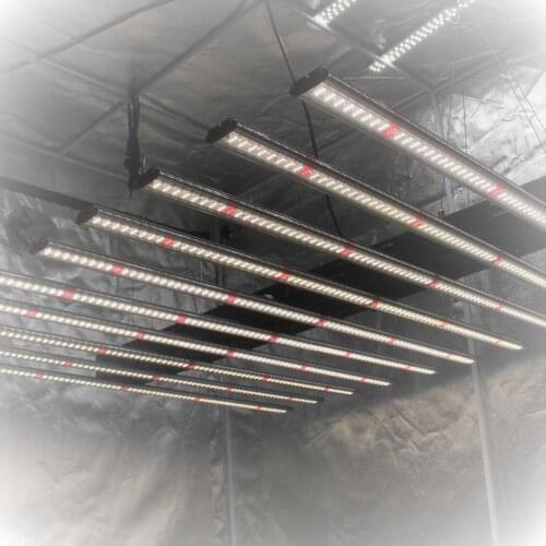 IDEA LIGHT Indoor Hydroponic HPS 10 Lights Bar uv ir 1000w 800w Cob Samsung lm301H LM301B led Grow Light Full Spectrum