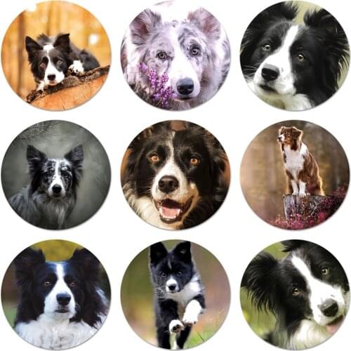 58mm Border Collie lovely Dog Icons Pins Badge Decoration Brooches Metal Badges For Clothes Backpack Decoration