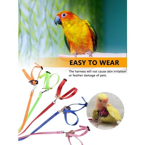 Pet Parrot Towing Rope Pet Birds Fly Out Training Traction Rope Pet Hamster Tortoise Lizard Hauling Rope Harness