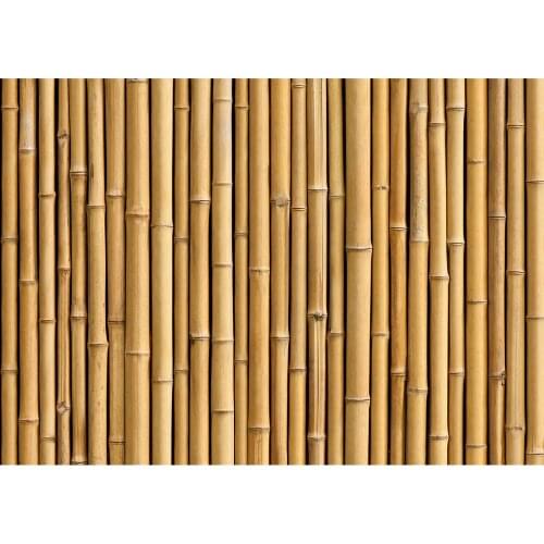 Bamboo Wall Photographic Background Vinyl Cloth Photoshoot Backdrop for Children Baby Pets Portrait Toy Photocall Fond Photo
