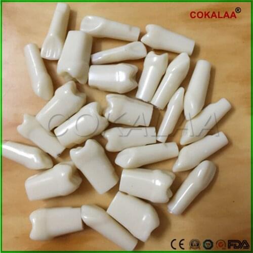 Tooth Preparation Grinding Polishing Operation Practice 28 Pcs Spare Replace Teeth Teaching Study Model Learning Yellow Color