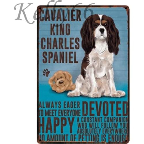 CAVALIER KING CHARLES SPANIEL Metal Sign Tin Poster Home Decor Pet Store Wall Art Painting 20*30 CM Size y-1615