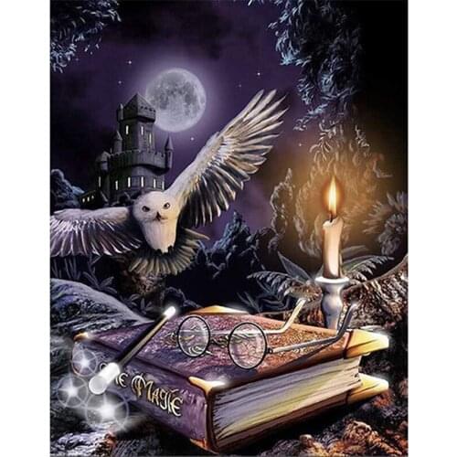 Diamond painting magic owl full diamond square round 5D DIY diamond embroidery 3D cross stitch mosaic home decoration