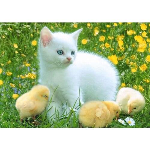 5d diy diamond painting full square/round-Cats and chicks-diamond embroidery mosaic sale Kid room decoration