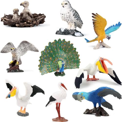 New Classic Bird Animal Cute Macaw Seagull Eagle Parrot Model Solid PVC Action Figures High Quality Miniature Education Toy