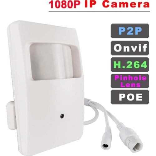 PIR sensor Housing IP Camera H.264 Onvif 1080P Wired IP network Camera or 48V POE IP Camera pinholeLens IP Camera