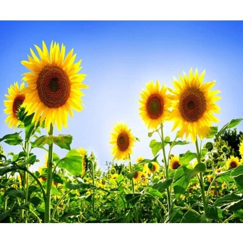 A17192 11CT/14CT/18CT/25CT/28CT tree patterns Counted Cross Stitch DIY Cross Stitch Kits Embroidery Needlework Sets