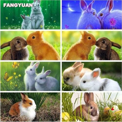 5D Diy Diamond Rabbit Diamond Mosaic Art Painting Full Diamond Embroidery Animals Pictures of Rhinestones Home Decoration Gift