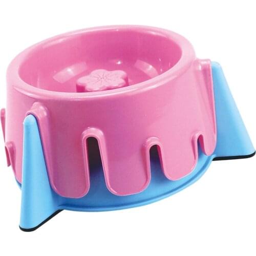 Pet Slow Feeder Dog Cat Anti Choke Bowl Interactive Feeding Watering Bowl