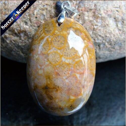 New Hot Selling Natural Stone Crinoid Fossil Necklace Jewelry Chrysanthemum Stone Healing Reiki Pendant For Men Women HS348