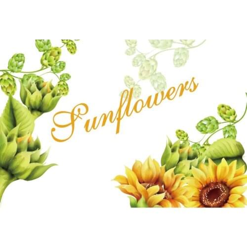 Sunflower Flower White Background Banner Gift Christmas Party Plant Decoration Poster Photography Props Background Painting