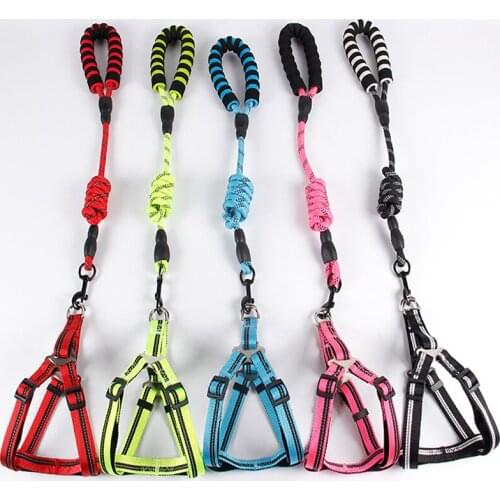 Nylon pet leash for dog and cat running or training collars and harness-dog collars for outdoor walking training pet accessories