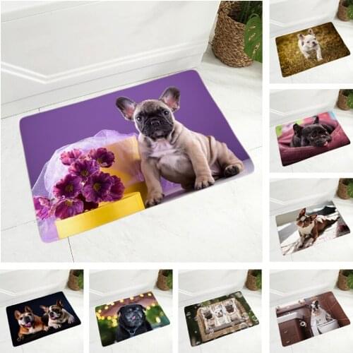 MINI French Bulldog Pet Dog Doormat Decor Cute Animal Floor Door Mat Non-Slip Soft Flannel Carpet for Hallway Bedroom 40x60cm