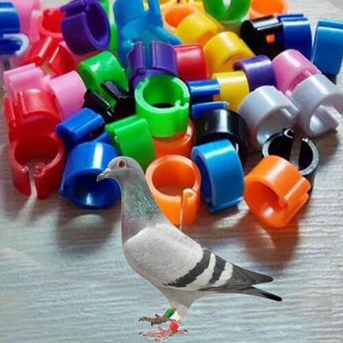 Pack of 100 Pcs ) ，Bird Rings Multicolor Colorful Leg Bands for Pigeon Parrot Finch Canary Hatch Chicks Bantam Poultry Bayonet