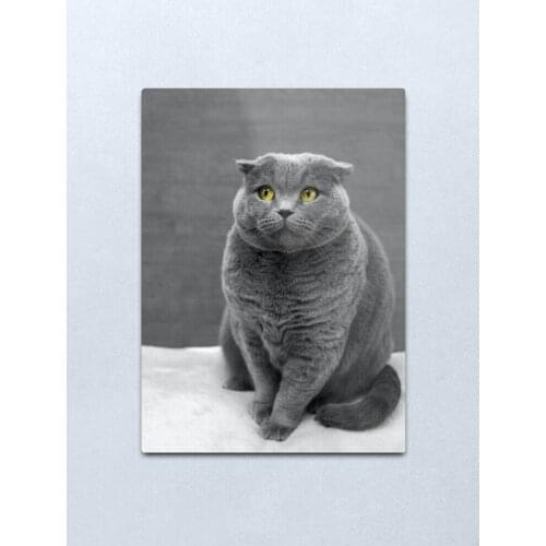 Cool cat Metal Print Tin Sign Vintage Metal Wall Sign Plaque Retro Garage Shed Car