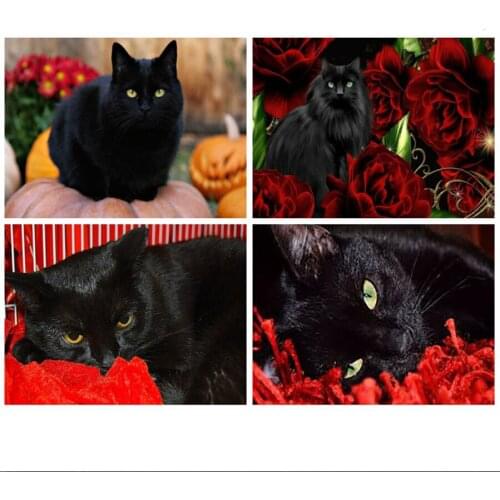 Black cat 5D diy Diamond Painting Full Square Animal pet Picture Of Rhinestone diamond Embroidery Handmade Mosaic Home Decor