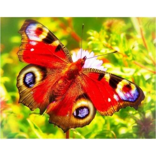 Red butterfly diamond painting full flowers rhinestone embroidery mosaic stickers decor diamond dot tapestry posters wall papers