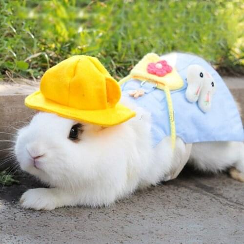 Rabbit Pet Clothes Harness Leash Suit Cute Guinea Pig Vest Dress Kitten Puppy Outdoor Photo Decoration Bunny Rabbit Accessories