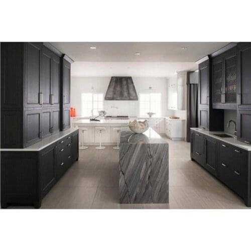2020 contemporary kitchen cabinets Kitchen remodel CK329