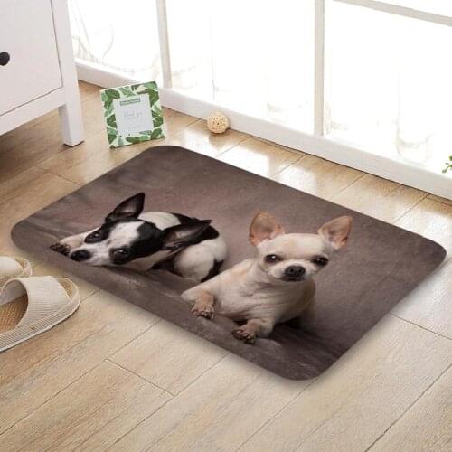 Nice Chihuahua Doormat Outdoor Floor Mat Home Creative Mat Super Soft Absorbent Bathroom Door Entrance Mat 40X60cm,50x80cm