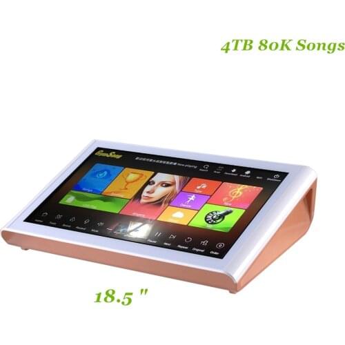 GymSong 18.5" Android Linux 4Tb HDD Karaoke Machine set