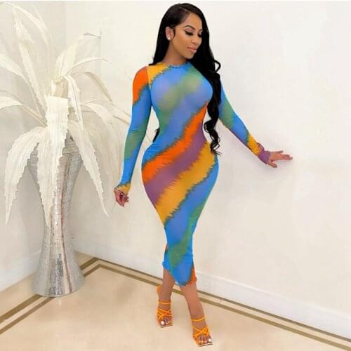 Fall Sexy Party Dresses Women Long Sleeve Print See Through Sheer Mesh Sheath Bodycon Dress Elegant Night Club Midi Dress 2021