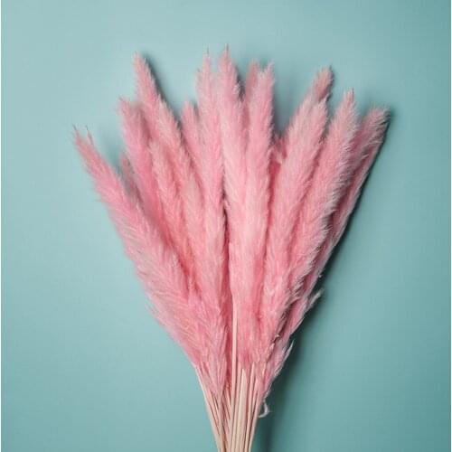 30Pcs/Lot Multicolor Pampas Grass Decor Natural Real Small Reed Bouquet Fluffy Altificial Grass for Wedding Decoration Wholesale