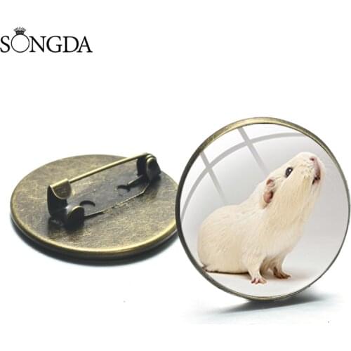 Cute Animal Guinea Pig Brooches Hedgehog Glass Dome Pin Button Badges for Clothes Backpack Decoration Women kids Gift Jewelry
