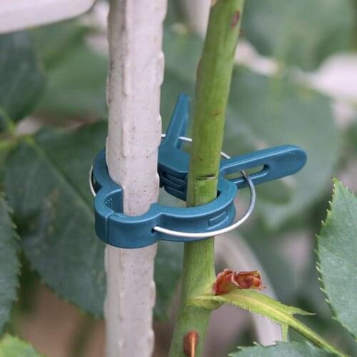 10 pcs Fastener Greenhouse Bracket Pole Fixed Clamp Plants Flower Seedling Stem Support Plant Grafting Stakes Connector Clip