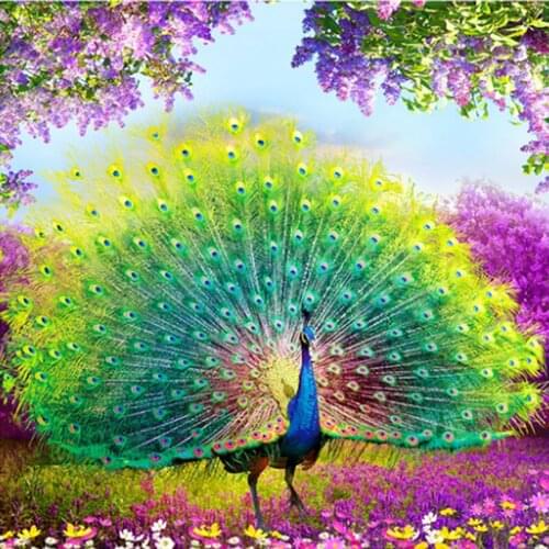 5D DIY Full Square Round Resin Diamond Painting "Peacock" Cross Stitch Embroidery Mosaic New Arrival Home Decoration
