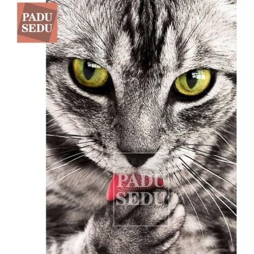 Diamond Painting Cat Picture Crystal Rhinestone 5D Diamond Mosaic Diamond Embroidery Cats Full Display Animal Wall Decor Bedroom