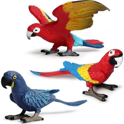 New Collection 3pc/Set Solid new macaw simulation wild animal model bird and bird set children toy decoration
