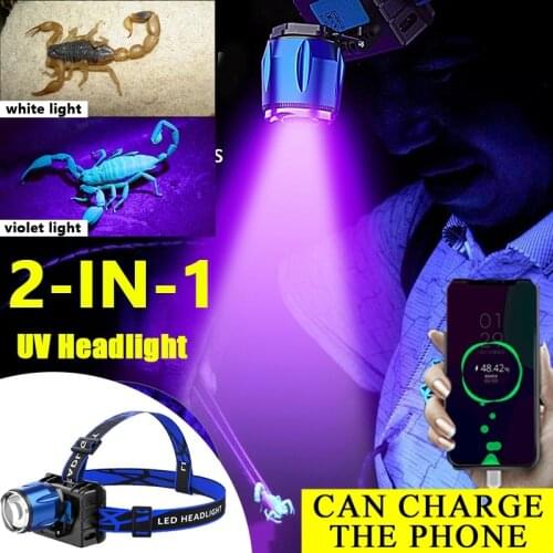 UV Headlamp Flashlight LED headlight Outdoor Viloet White Light Switch Headlight Camping Ultraviolet Blacklight Detector