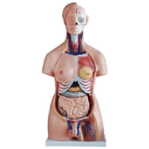 Модули распознавания голоса Vic Science China At AliExpress