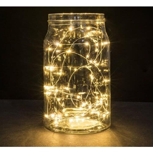 Jonsung LED String Lights With Transparent Wire