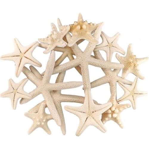 10pcs White Starfish Craft Decoration Natural Finger Sea Star Wedding Decor Seashells Seafish Party Beige Seastar Crafts