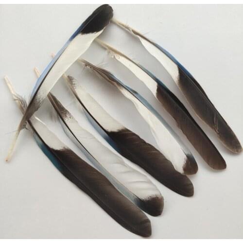 Wholesale! Rare 10 pcs Pretty Natural Pheasant Feathers 8-12 cm/3-5 inch Diy jewelry wedding decorative accessories