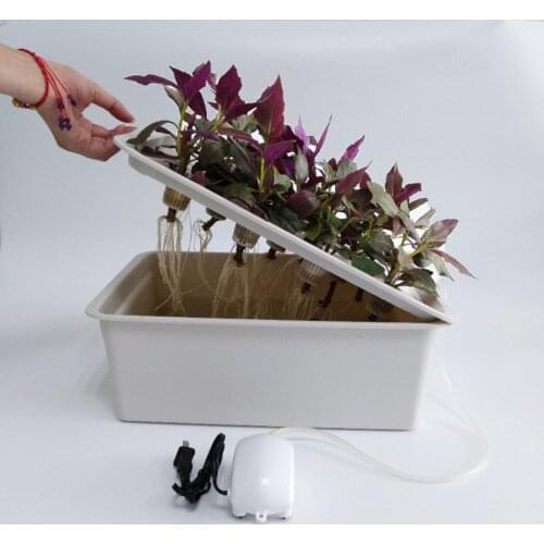 Household 11 Holes Hydroponic Growing System Kit Garden Soilless Plant Box Lettuce Grow Planters Container with Air Pump