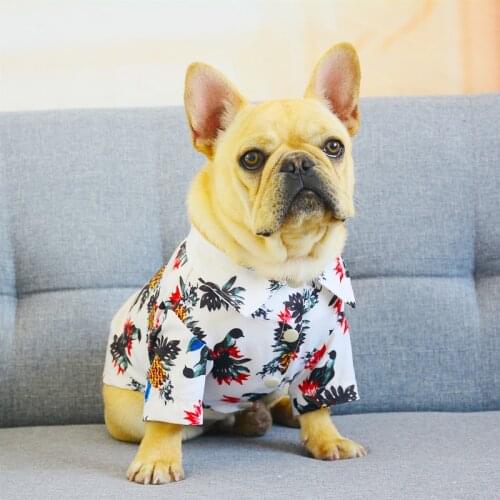 Cartoon Dog Sweatshirt Winter Pet Dog Clothes For Small Dogs Chihuahua Clothing Ropa Perro Cute Dog Hoodie Clothing For Dog Coat