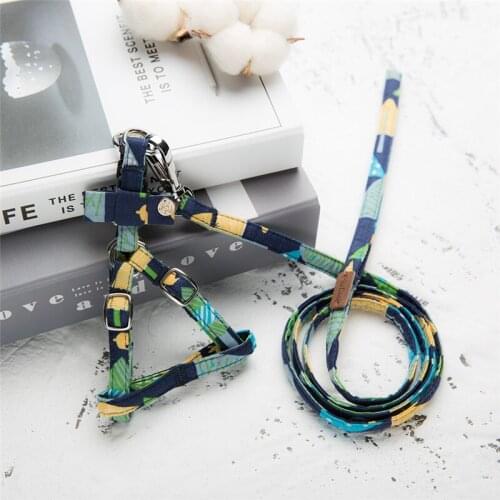 New Arrival Spot Pet Harness and Walking Leash Chest Strap Pet Clothes Set Pet Supplies